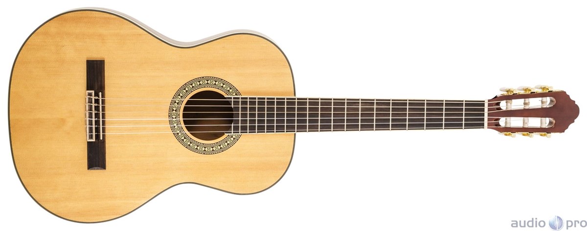 Peavey Delta Woods CNS-2 Classical Nylon String Guitar