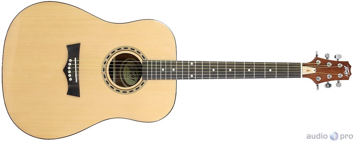 Peavey Delta Woods DW-1 Acoustic Guitar with Bag