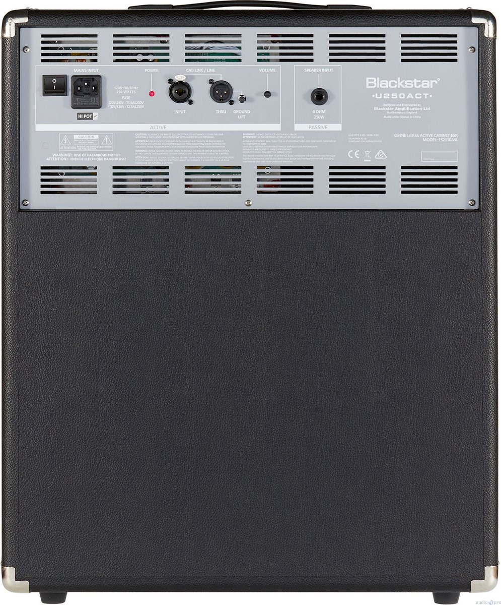 Blackstar Unity Bass Active Extension Cab 250