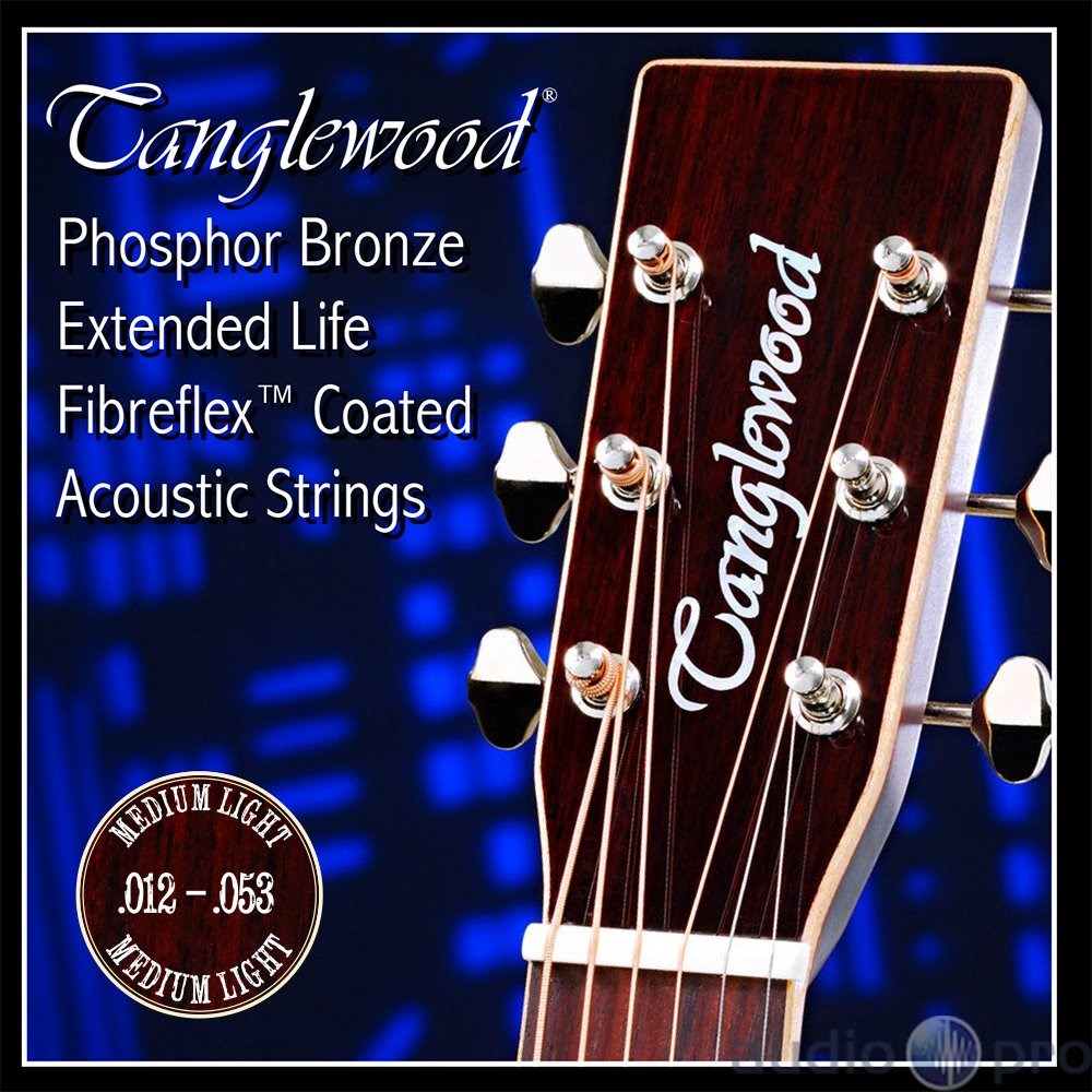 Tanglewood TWGS 12 Medium Light 12-53 Acoustic Guitar Strings
