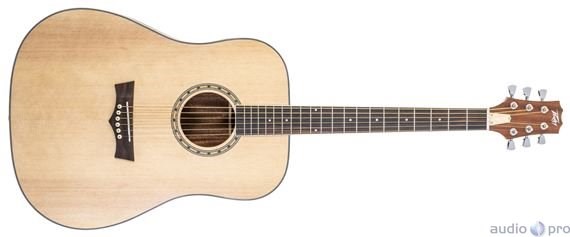 Peavey Delta Woods DW-2 Solid Top Dreadnought Acoustic Guitar