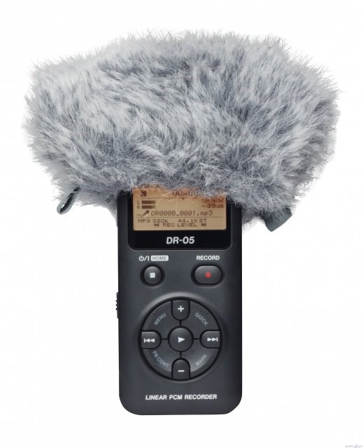 Tascam WS-11