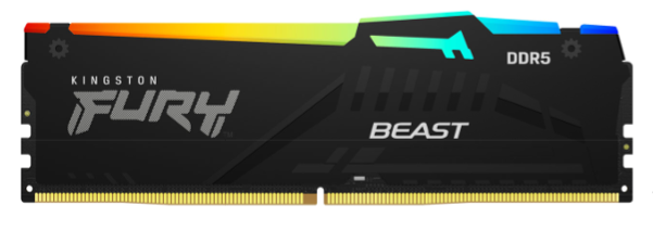 Kingston FURY Beast DDR5-5600 EXPO 16GB