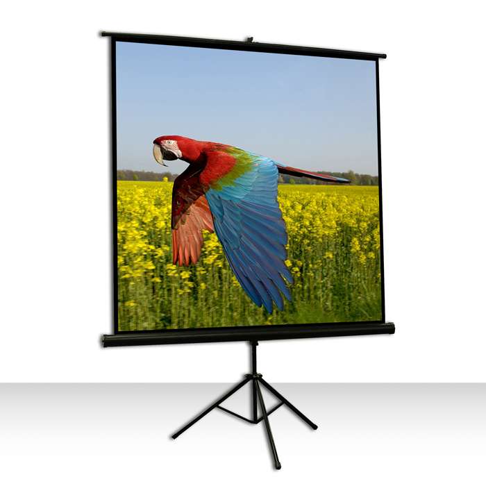 celexon Economy 1:1 Tripod Screen 219 x 219