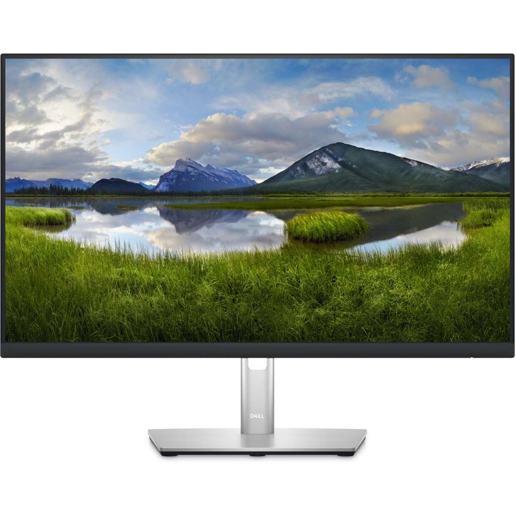 Dell P2423DE