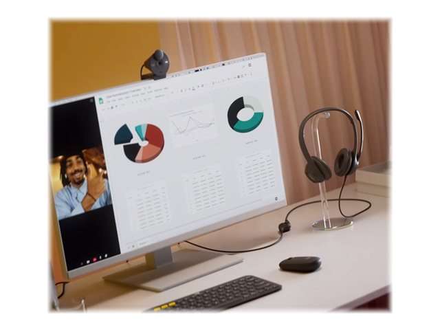 Logitech H390 USB Computer Headset